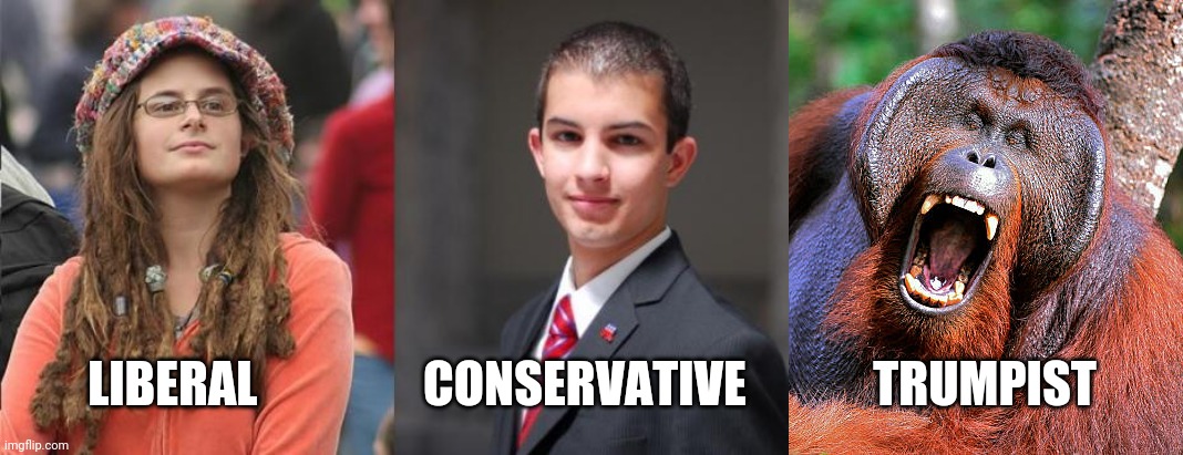 LIBERAL                 CONSERVATIVE             TRUMPIST | image tagged in liberal vs conservative | made w/ Imgflip meme maker
