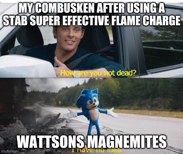 sonic how are you not dead | MY COMBUSKEN AFTER USING A STAB SUPER EFFECTIVE FLAME CHARGE; WATTSONS MAGNEMITES | image tagged in sonic how are you not dead | made w/ Imgflip meme maker