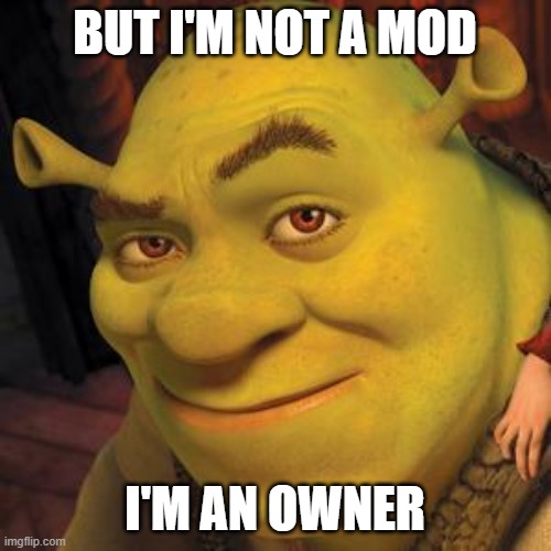 Shrek Sexy Face | BUT I'M NOT A MOD I'M AN OWNER | image tagged in shrek sexy face | made w/ Imgflip meme maker