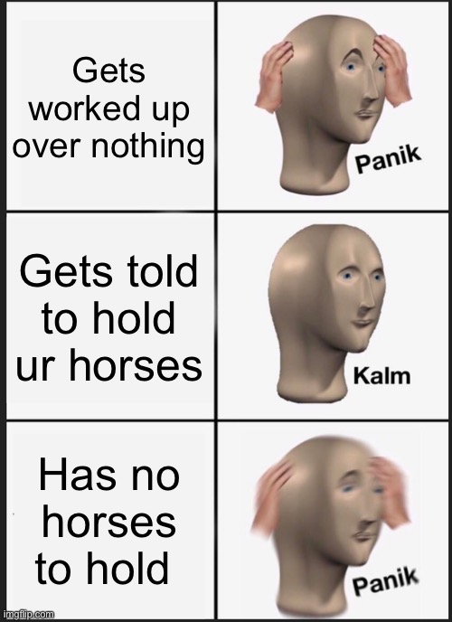 Panik kalm panik | Gets worked up over nothing; Gets told to hold ur horses; Has no horses to hold | image tagged in memes,panik kalm panik | made w/ Imgflip meme maker