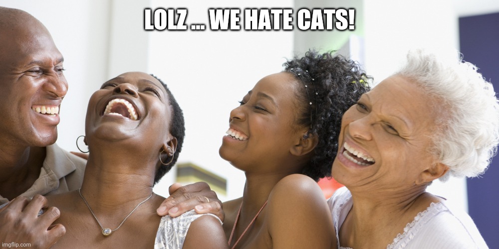 black people laughing | LOLZ ... WE HATE CATS! | image tagged in black people laughing | made w/ Imgflip meme maker
