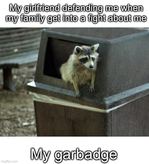 My garbage | My girlfriend defending me when my family get into a fight about me; My garbage | image tagged in funny memes | made w/ Imgflip meme maker