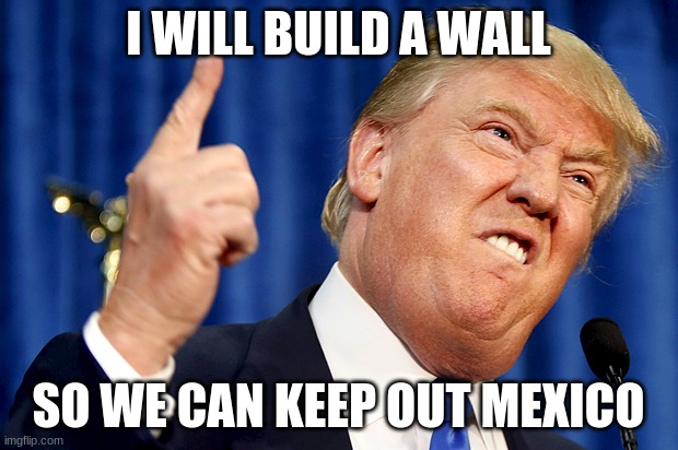 Donald Trump | I WILL BUILD A WALL; SO WE CAN KEEP OUT MEXICO | image tagged in donald trump | made w/ Imgflip meme maker