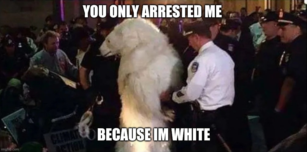 Silly cop | YOU ONLY ARRESTED ME; BECAUSE IM WHITE | image tagged in silly cop | made w/ Imgflip meme maker