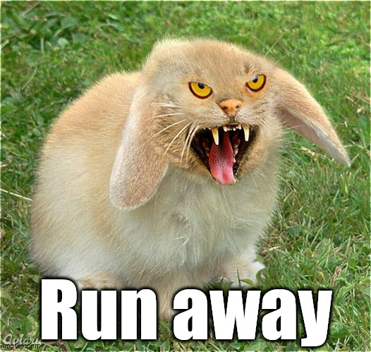 Run away | image tagged in run away,killer rabbit | made w/ Imgflip meme maker