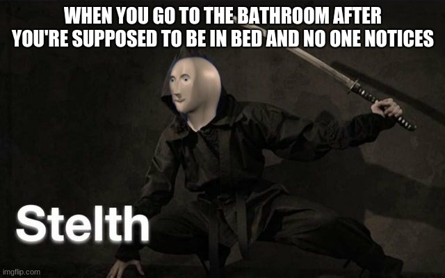 Stelth | WHEN YOU GO TO THE BATHROOM AFTER YOU'RE SUPPOSED TO BE IN BED AND NO ONE NOTICES | image tagged in stelth | made w/ Imgflip meme maker