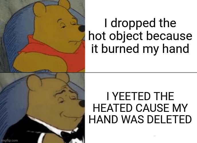 Oof. Burned. | I dropped the hot object because it burned my hand; I YEETED THE HEATED CAUSE MY HAND WAS DELETED | image tagged in memes,tuxedo winnie the pooh | made w/ Imgflip meme maker