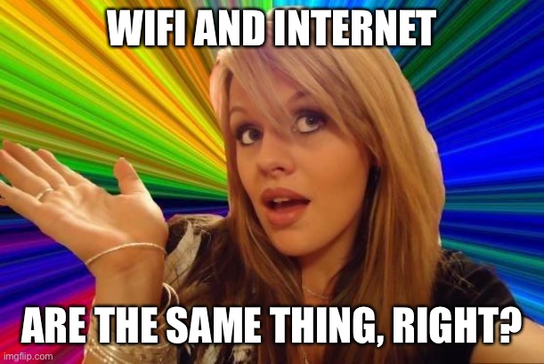 Dumb Blonde Meme | WIFI AND INTERNET ARE THE SAME THING, RIGHT? | image tagged in memes,dumb blonde | made w/ Imgflip meme maker