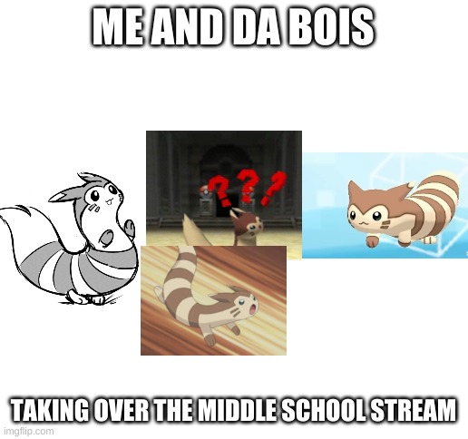 Furret and da bois | ME AND DA BOIS; TAKING OVER THE MIDDLE SCHOOL STREAM | image tagged in blank white template | made w/ Imgflip meme maker
