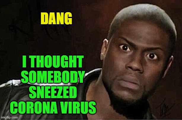 Kevin Hart Meme | DANG I THOUGHT SOMEBODY SNEEZED CORONA VIRUS | image tagged in memes,kevin hart | made w/ Imgflip meme maker