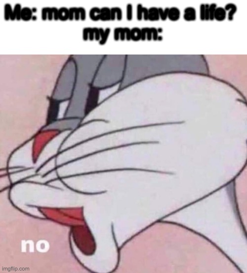 No bugs bunny | Me: mom can I have a life? 
my mom: | image tagged in no bugs bunny | made w/ Imgflip meme maker