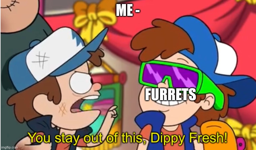 Stay out of this dippy fresh | ME -; FURRETS | image tagged in stay out of this dippy fresh | made w/ Imgflip meme maker