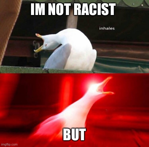 Inhaling Seagull  | IM NOT RACIST; BUT | image tagged in inhaling seagull | made w/ Imgflip meme maker