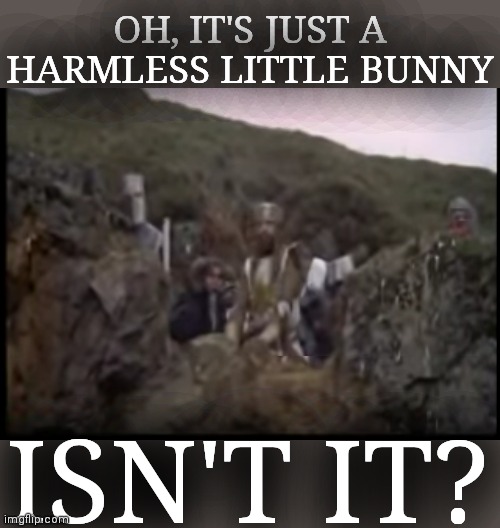 OH, IT'S JUST A HARMLESS LITTLE BUNNY ISN'T IT? | made w/ Imgflip meme maker
