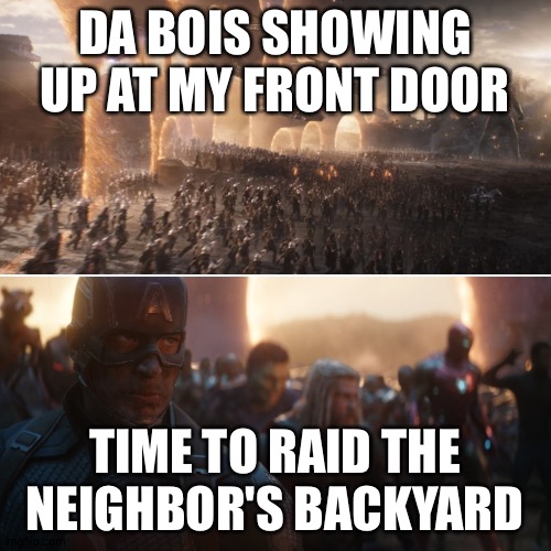 Avengers endgame portals | DA BOIS SHOWING UP AT MY FRONT DOOR; TIME TO RAID THE NEIGHBOR'S BACKYARD | image tagged in avengers endgame portals | made w/ Imgflip meme maker