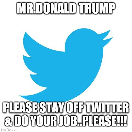 Twitter birds says | MR.DONALD TRUMP; PLEASE STAY OFF TWITTER & DO YOUR JOB..PLEASE!!! | image tagged in twitter birds says | made w/ Imgflip meme maker