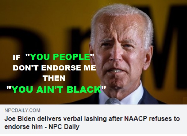 Joe Biden "You People" "Your Ain't Black" Blank Meme Template