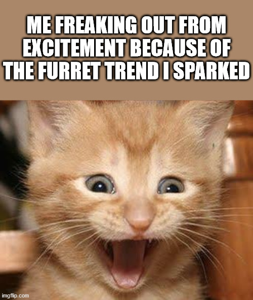 I love Furret | ME FREAKING OUT FROM EXCITEMENT BECAUSE OF THE FURRET TREND I SPARKED | image tagged in memes,excited cat,pokemon | made w/ Imgflip meme maker