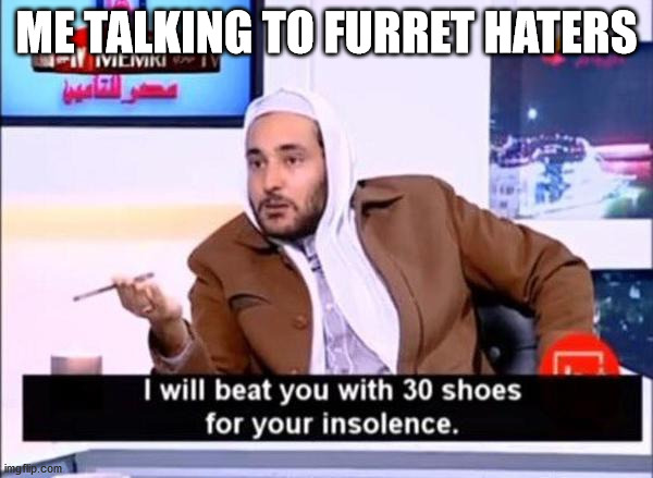 Don't disrespect Furret | ME TALKING TO FURRET HATERS | image tagged in i will beat you with 30 shoes,memes,pokemon | made w/ Imgflip meme maker