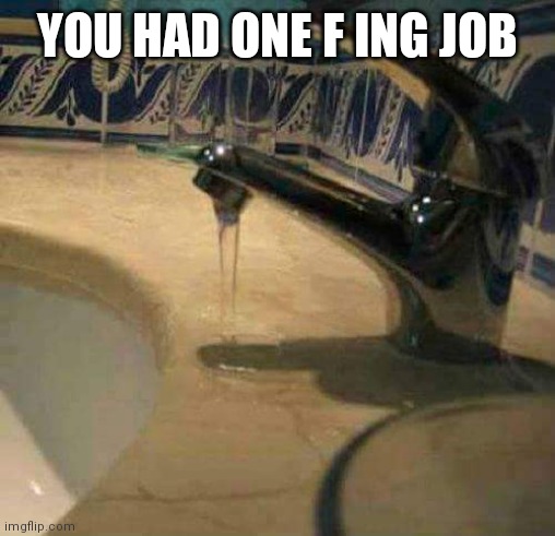 You had one job! | YOU HAD ONE F ING JOB | image tagged in you had one job | made w/ Imgflip meme maker