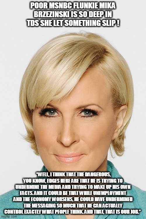 Message to Fake News Media...loose lips sinks ships! | POOR MSNBC FLUNKIE MIKA BRZEZINSKI IS SO DEEP IN TDS SHE LET SOMETHING SLIP ! “WELL, I THINK THAT THE DANGEROUS, YOU KNOW, EDGES HERE ARE THAT HE IS TRYING TO UNDERMINE THE MEDIA AND TRYING TO MAKE UP HIS OWN FACTS. AND IT COULD BE THAT WHILE UNEMPLOYMENT AND THE ECONOMY WORSENS, HE COULD HAVE UNDERMINED THE MESSAGING SO MUCH THAT HE CAN ACTUALLY CONTROL EXACTLY WHAT PEOPLE THINK. AND THAT, THAT IS OUR JOB.” | image tagged in msm,mika brzezinski,mind control | made w/ Imgflip meme maker