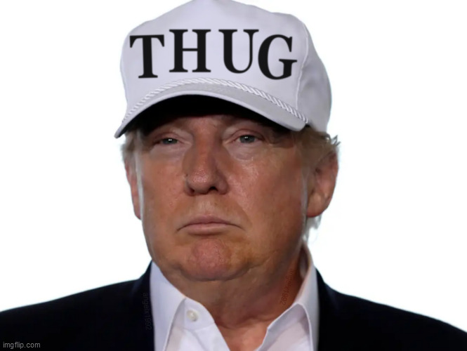 trump | image tagged in trump,thug,george floyd,idiot,idiot in chief,dumptrump | made w/ Imgflip meme maker