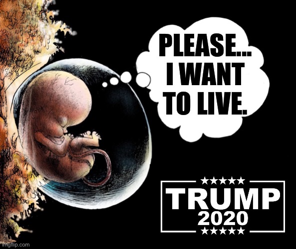 Wanted or unwanted, I believe that human life, even at its earliest stages, has certain rights which must be recognized... | PLEASE... I WANT TO LIVE. | image tagged in the right to be born,the right to love,the right to grow old,ted kennedy,human life,certain rights must be recognized,ConservativeMemes | made w/ Imgflip meme maker