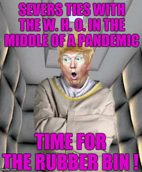 This overgrown toddler throws a tantrum, when he can't get his way; Clearly, a danger to himself and others. Put him away, NOW! | SEVERS TIES WITH THE W. H. O. IN THE MIDDLE OF A PANDEMIC; TIME FOR THE RUBBER BIN ! | image tagged in insane,trump unfit unqualified dangerous,dump trump,fool,covid 19,memes | made w/ Imgflip meme maker