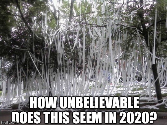 Traditions of the past | HOW UNBELIEVABLE DOES THIS SEEM IN 2020? | image tagged in toilet paper,coronavirus | made w/ Imgflip meme maker