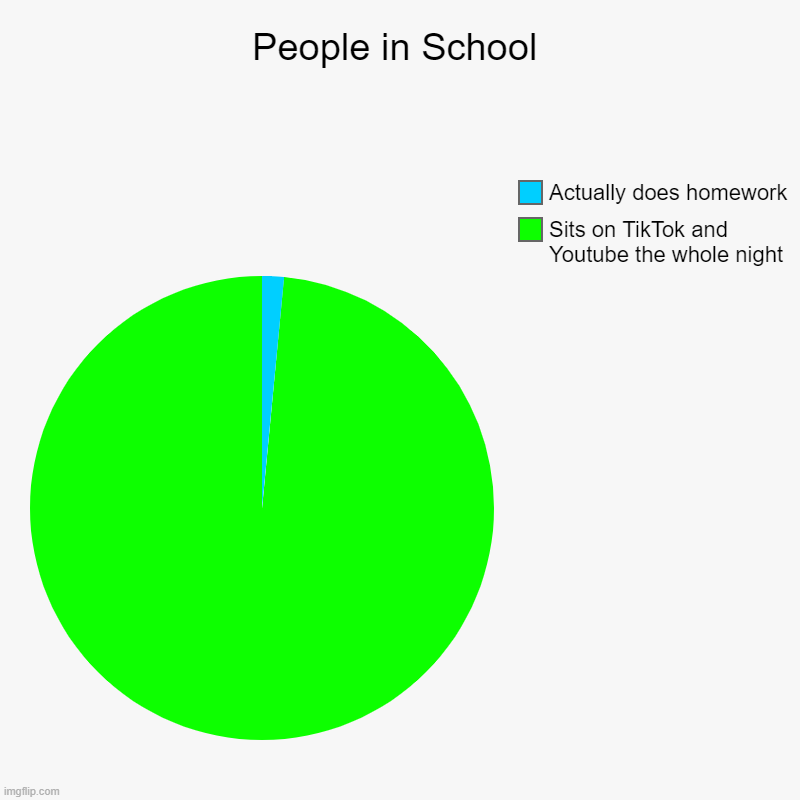 People in School | People in School | Sits on TikTok and Youtube the whole night, Actually does homework | image tagged in charts,pie charts | made w/ Imgflip chart maker