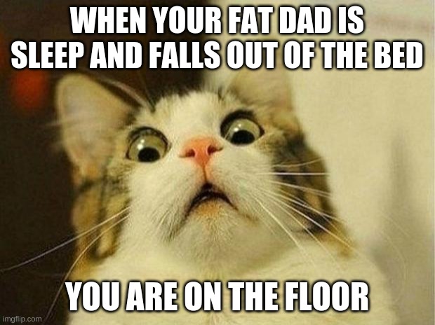 Scared Cat Meme | WHEN YOUR FAT DAD IS SLEEP AND FALLS OUT OF THE BED; YOU ARE ON THE FLOOR | image tagged in memes,scared cat | made w/ Imgflip meme maker