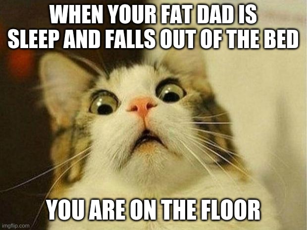 Scared Cat | WHEN YOUR FAT DAD IS SLEEP AND FALLS OUT OF THE BED; YOU ARE ON THE FLOOR | image tagged in memes,scared cat | made w/ Imgflip meme maker