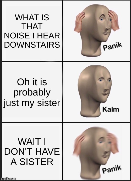 Panik Kalm Panik | WHAT IS THAT NOISE I HEAR DOWNSTAIRS; Oh it is probably just my sister; WAIT I DON'T HAVE A SISTER | image tagged in memes,panik kalm panik | made w/ Imgflip meme maker