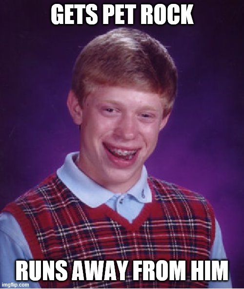 Bad Luck Brian | GETS PET ROCK; RUNS AWAY FROM HIM | image tagged in memes,bad luck brian | made w/ Imgflip meme maker