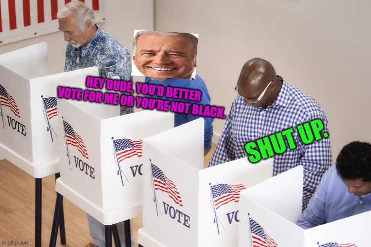 voting booth | HEY DUDE, YOU’D BETTER VOTE FOR ME OR YOU’RE NOT BLACK. SHUT UP. | image tagged in voting booth | made w/ Imgflip meme maker