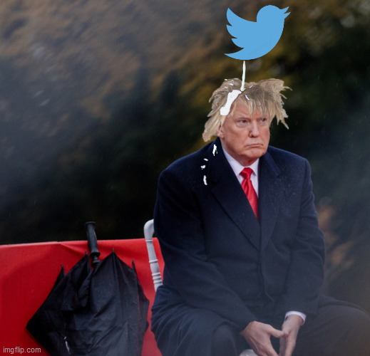 trump | image tagged in trump,twitter,trump twitter,twitter birds says,idiot,trump dump | made w/ Imgflip meme maker