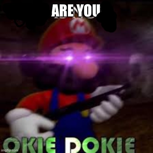 This is not okie dokie | ARE YOU | image tagged in this is not okie dokie | made w/ Imgflip meme maker