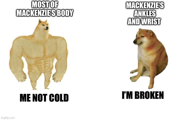 The long dark | MACKENZIE’S ANKLES AND WRIST; MOST OF MACKENZIE’S BODY; I’M BROKEN; ME NOT COLD | image tagged in then vs now | made w/ Imgflip meme maker