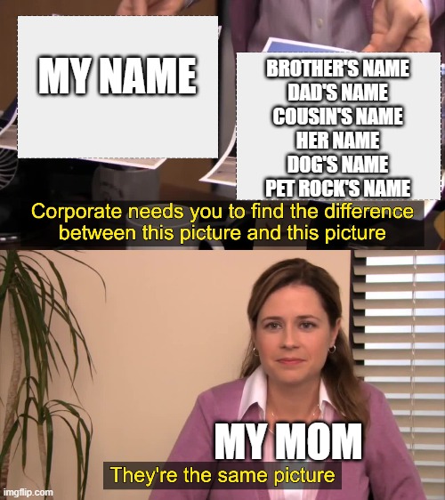 there the same picture | BROTHER'S NAME
DAD'S NAME
COUSIN'S NAME
HER NAME
DOG'S NAME
PET ROCK'S NAME; MY NAME; MY MOM | image tagged in there the same picture | made w/ Imgflip meme maker