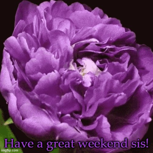 Have a great weekend sis! | made w/ Imgflip meme maker