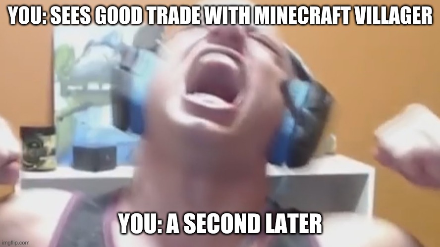 When you see a good trade with a villager | YOU: SEES GOOD TRADE WITH MINECRAFT VILLAGER; YOU: A SECOND LATER | image tagged in memes | made w/ Imgflip meme maker