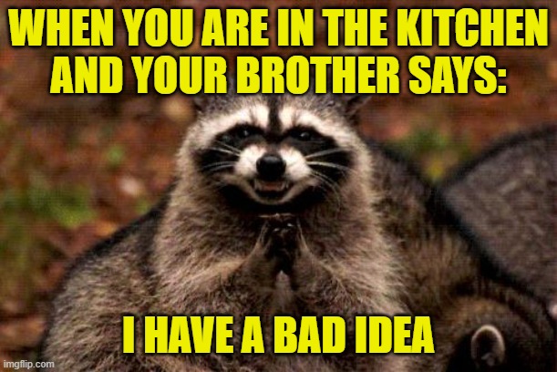 Evil Plotting Raccoon | WHEN YOU ARE IN THE KITCHEN
AND YOUR BROTHER SAYS:; I HAVE A BAD IDEA | image tagged in memes,evil plotting raccoon | made w/ Imgflip meme maker