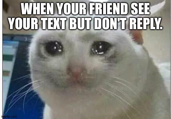 Friends be like... | WHEN YOUR FRIEND SEE YOUR TEXT BUT DON'T REPLY. | image tagged in crying cat | made w/ Imgflip meme maker
