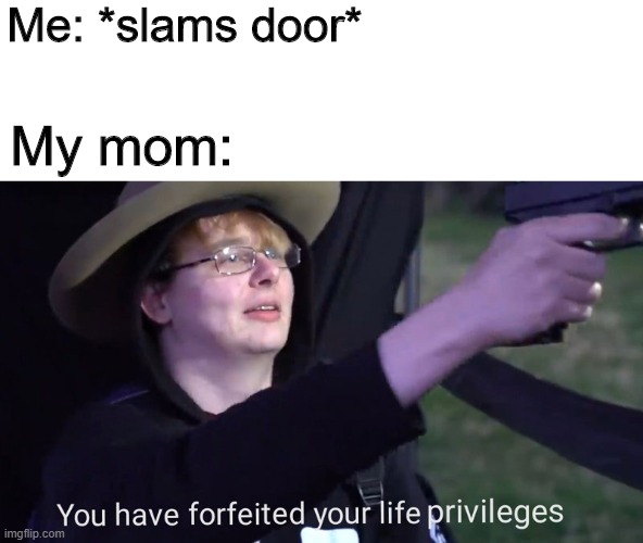 You have forfeited your life privileges | Me: *slams door*; My mom: | image tagged in you have forfeited your life privileges | made w/ Imgflip meme maker