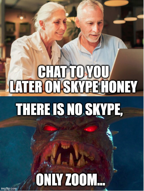 There is no Skype only Zoom | CHAT TO YOU LATER ON SKYPE HONEY; THERE IS NO SKYPE, ONLY ZOOM... | image tagged in zuul,internet,zoom,skype,technology | made w/ Imgflip meme maker