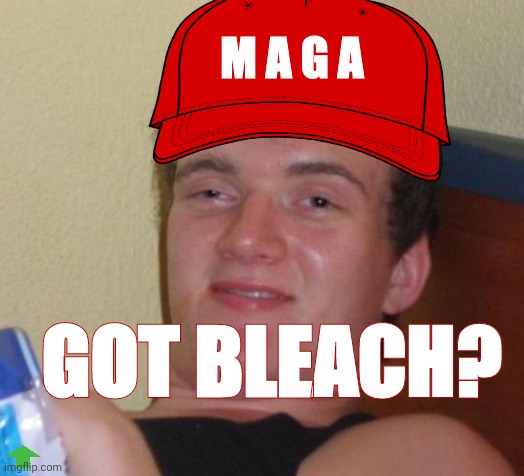 Bleach | M A G A; GOT BLEACH? | image tagged in memes,10 guy | made w/ Imgflip meme maker