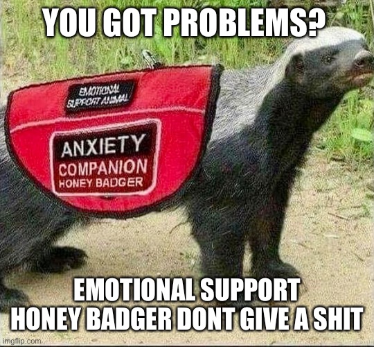 Emotional Support Honey Badger | YOU GOT PROBLEMS? EMOTIONAL SUPPORT HONEY BADGER DONT GIVE A SHIT | image tagged in honey badger,emotional support,funny,dont care,dont give a shit | made w/ Imgflip meme maker