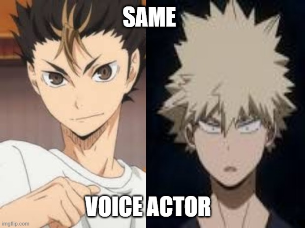 SAME VOICE ACTOR?!?!?!?!?!?!?!?!? | SAME; VOICE ACTOR | image tagged in haikyuu,bnha | made w/ Imgflip meme maker