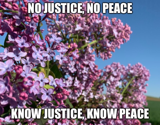 Justice & Peace | NO JUSTICE, NO PEACE; KNOW JUSTICE, KNOW PEACE | image tagged in justice,peace,know justice,no justice,no peace | made w/ Imgflip meme maker