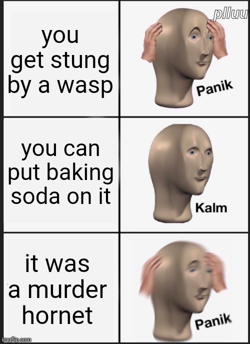 oh no | plluu; you get stung by a wasp; you can put baking soda on it; it was a murder hornet | image tagged in memes,panik kalm panik,plluu | made w/ Imgflip meme maker